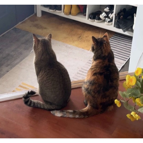 Meet your Posher, Laura - Picture 1 of 1